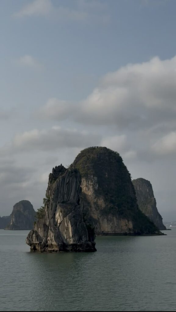Les baies du Vietnam