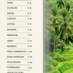 Le sommaire de l'E-BOOK Le guide complet de Bali