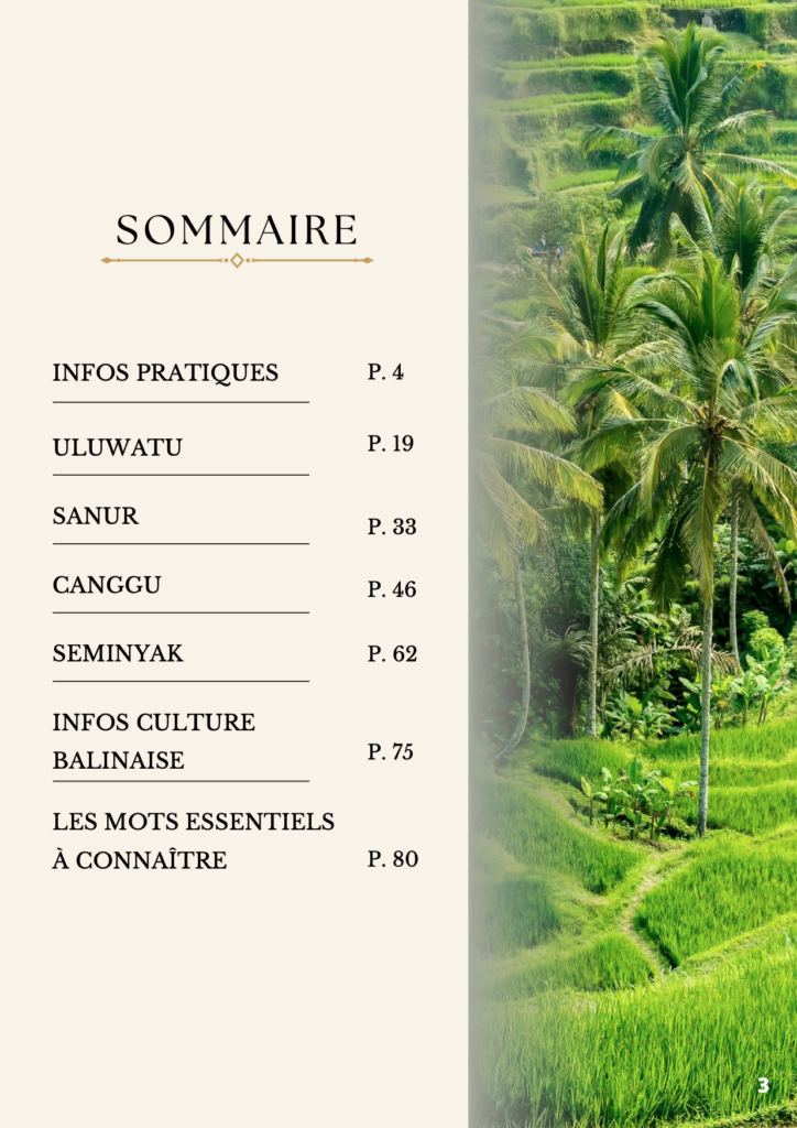 Couverture E-BOOK Bali Sud