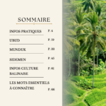 Sommaire de L'E-BOOK