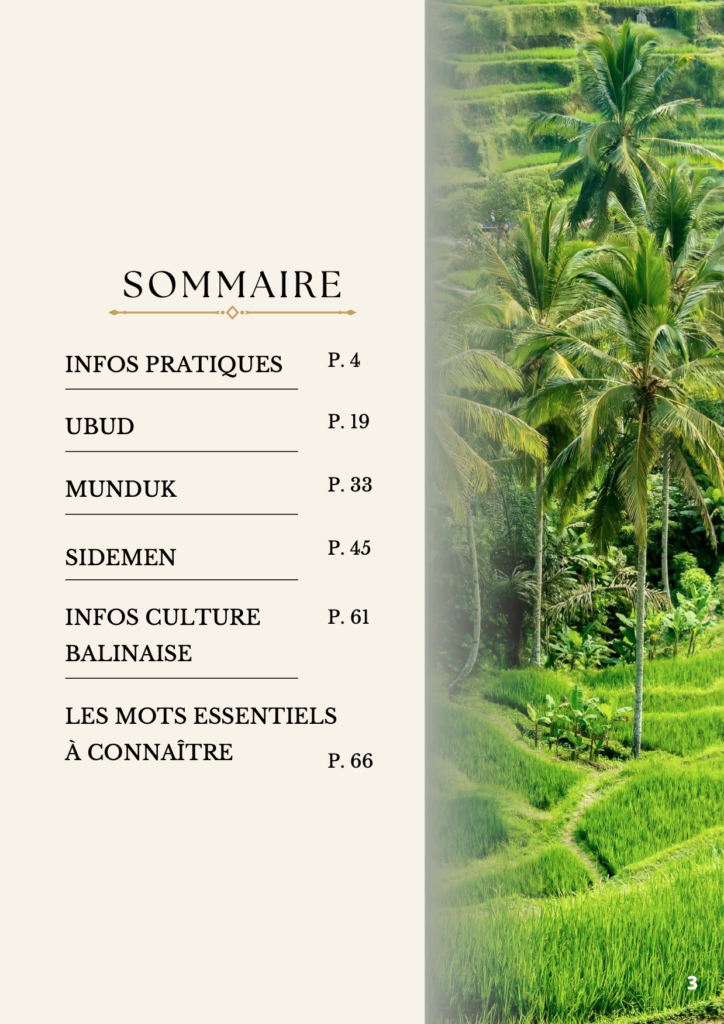 Sommaire de L'E-BOOK