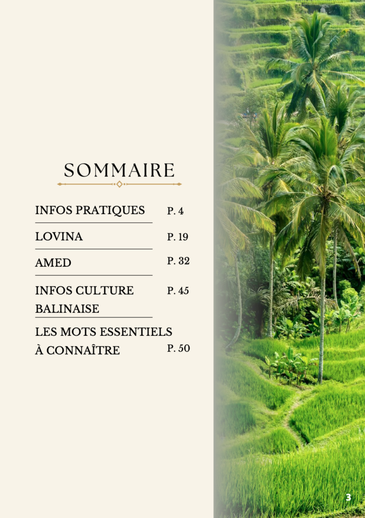 Sommaire de Bali Nord