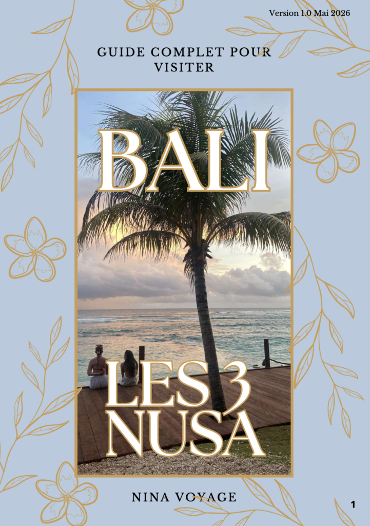 Couverture de l'E-BOOK Les 3 Nusa