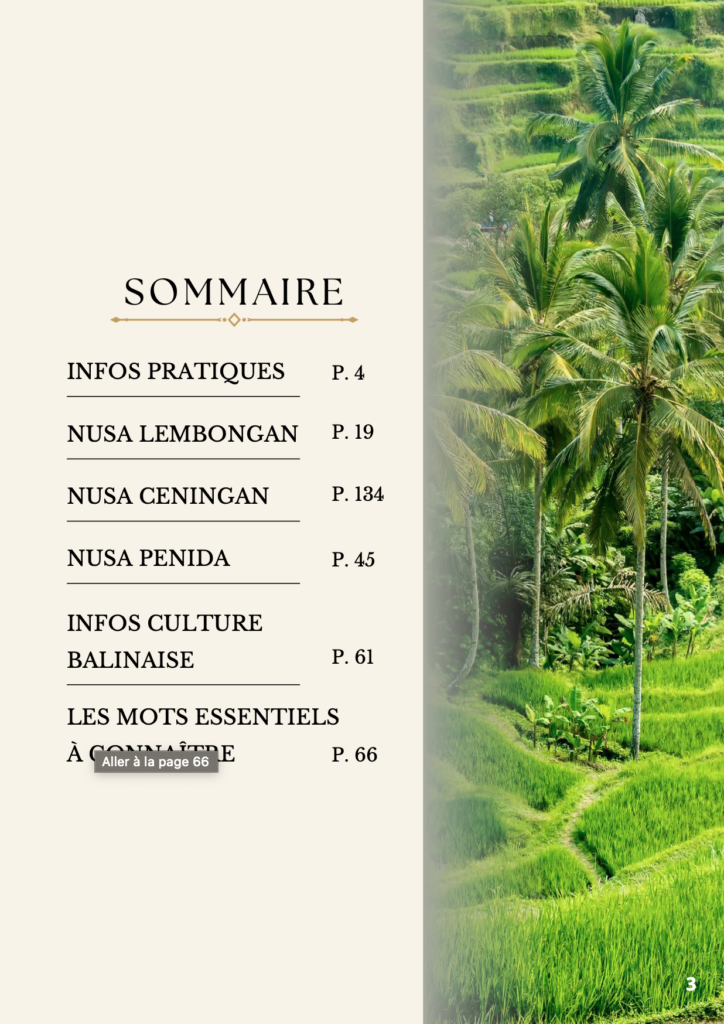 Le sommaire de l'E-BOOK