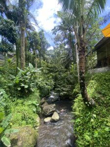 Ubud : les 3 activités qui m&rsquo;ont le plus marquée à Bali