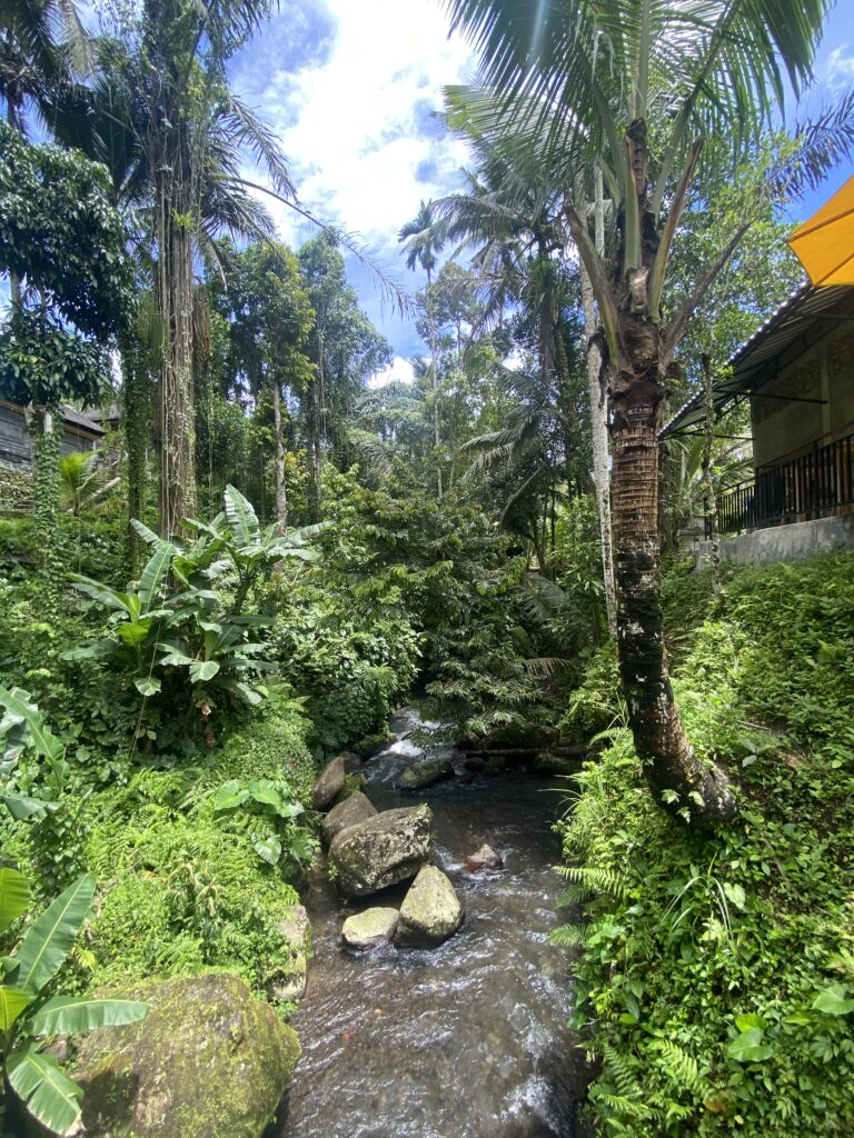 Paysage Ubud